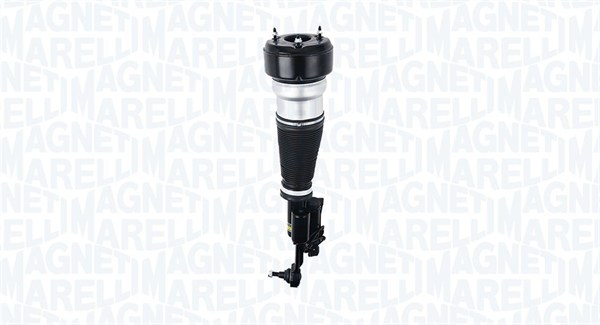 Air Suspension Strut (350401400001)