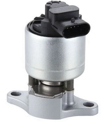 EGR Valve (359000603650)
