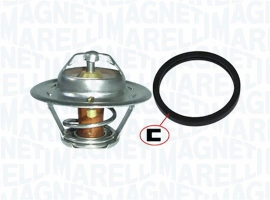 Thermostat, coolant (352317001850)