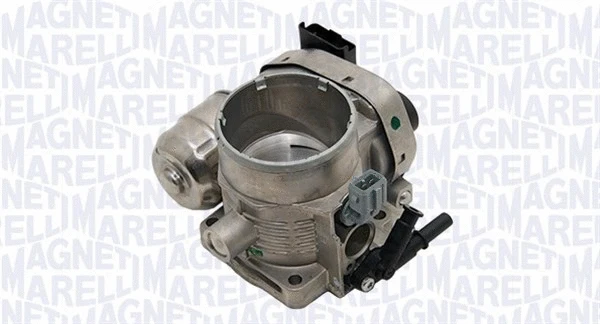 Throttle Body (802001985303)