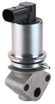 EGR Valve (359000603680)