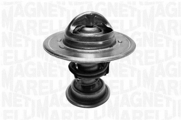 Thermostat, coolant (352059482000)