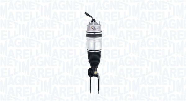 Air Suspension Strut (350051100001)