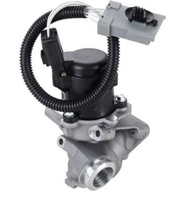 EGR Valve (359000604650)