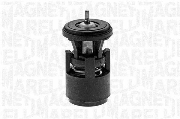 Thermostat, coolant (352038587000)