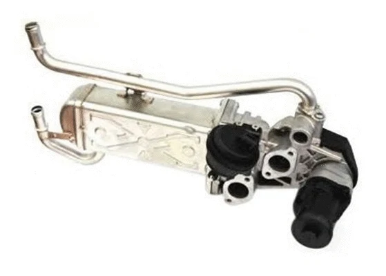 EGR Valve (359000603790)