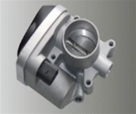 Throttle Body (359000602500)