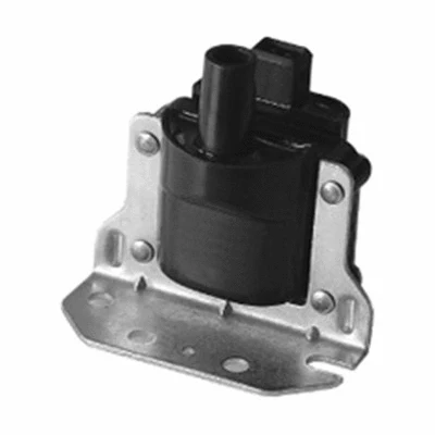 Ignition Coil (060717002012)