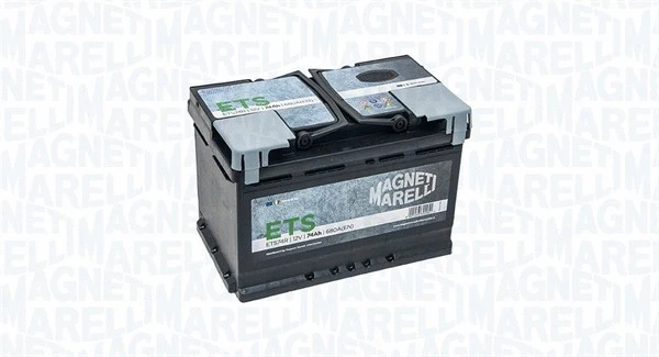 Starter Battery