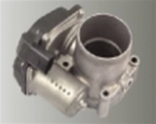 Throttle Body (359000602930)