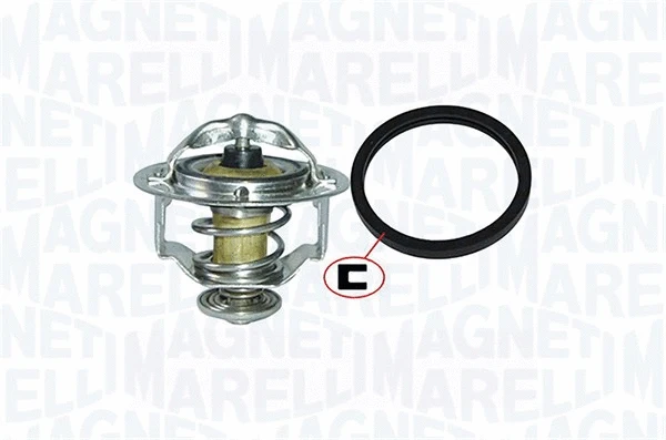 Thermostat, coolant (352317000550)