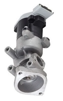 EGR Valve (359000604620)