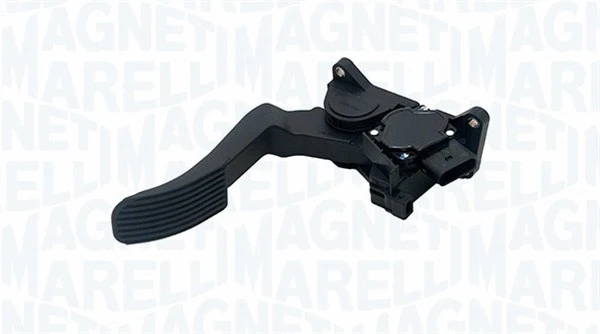 Accelerator Pedal Unit (805000005010)