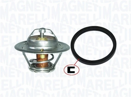 Thermostat, coolant (352317100410)