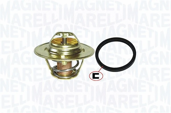 Thermostat, coolant (352317001170)