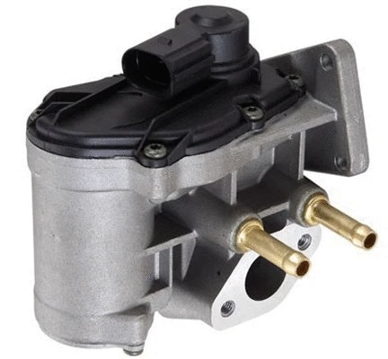 EGR Valve (571822112077)
