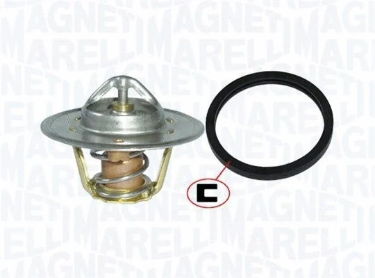 Thermostat, coolant (352317100560)
