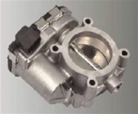 Throttle Body (359000602440)