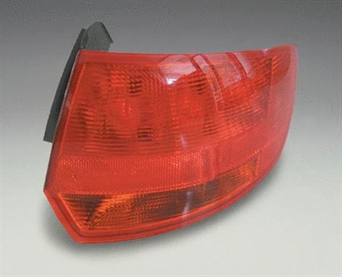 Tail Light Assembly (714027770801)