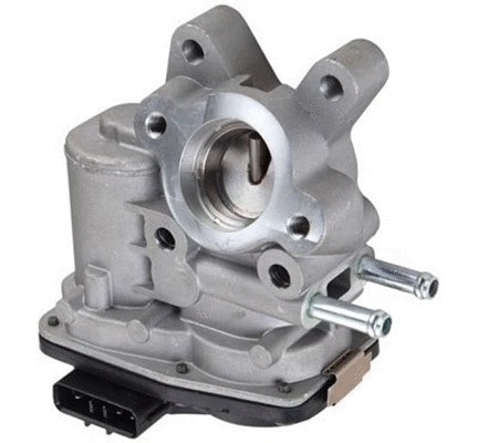 EGR Valve (571822112123)