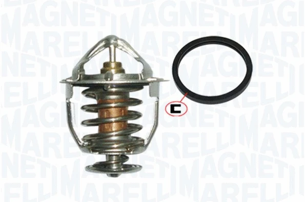 Thermostat, coolant (352317004680)