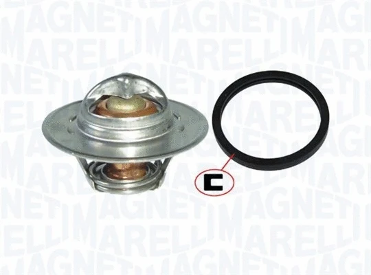 Thermostat, coolant (352317101330)