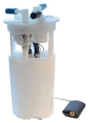 Fuel Supply Module (313011313071)