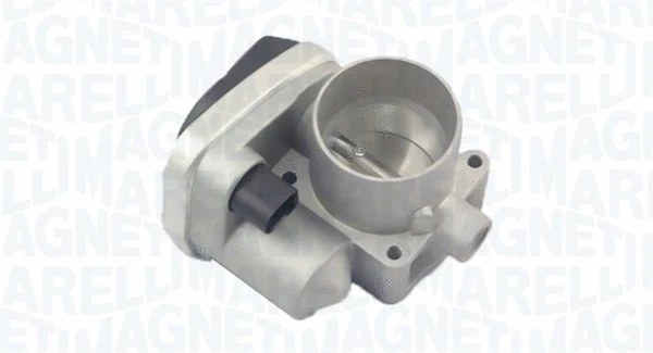 Throttle Body (802000000085)