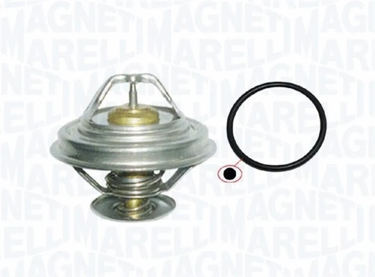 Thermostat, coolant (352317101160)