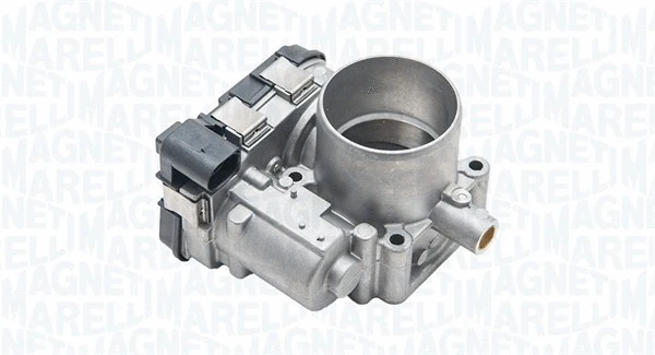 Throttle Body (802012061101)