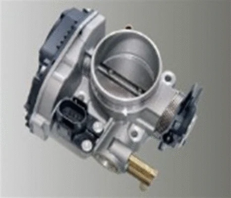 Throttle Body (359000602770)