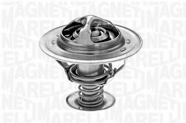 Thermostat, coolant (352029682000)