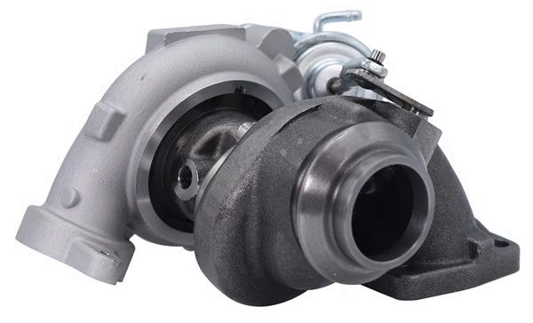Charger, charging (supercharged/turbocharged) (807101002900)