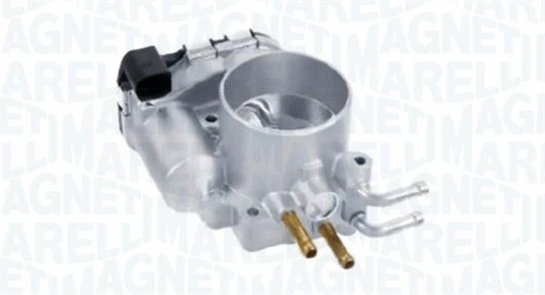 Throttle Body (802000000053)