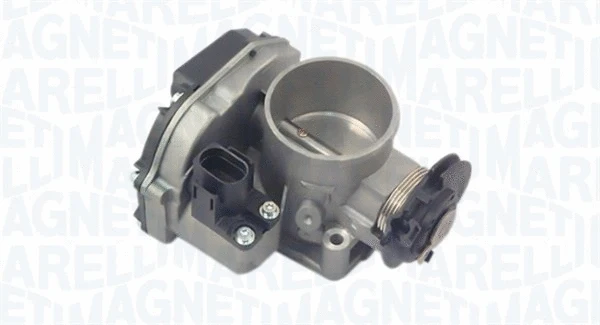 Throttle Body (802000000046)