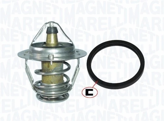 Thermostat, coolant (352317101240)