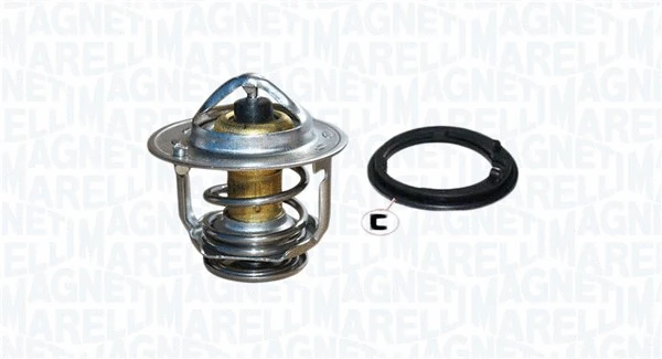 Thermostat, coolant (352317004970)