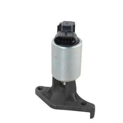 EGR Valve (571822112019)