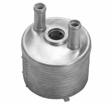 Oil Cooler, engine oil (359001601860)