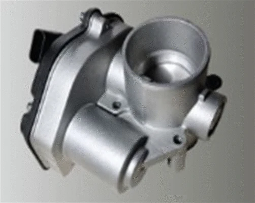 Throttle Body (359000602670)