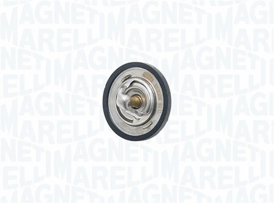 Thermostat, coolant (352317003860)