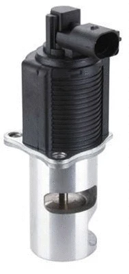 EGR Valve (359000603710)
