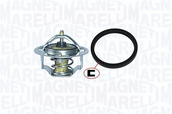 Thermostat, coolant (352317000840)