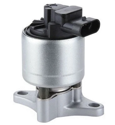 EGR Valve (359000603630)