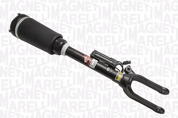 Air Suspension Strut (350601300001)