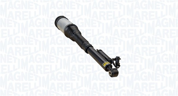 Air Suspension Strut (350233800001)