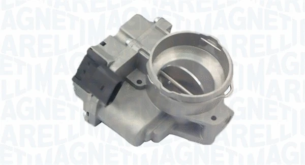 Throttle Body (802000000030)