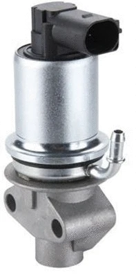 EGR Valve (359000603670)