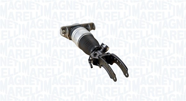 Air Suspension Strut (350018000001)