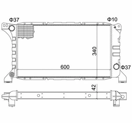 Radiator, engine cooling (359000300560)